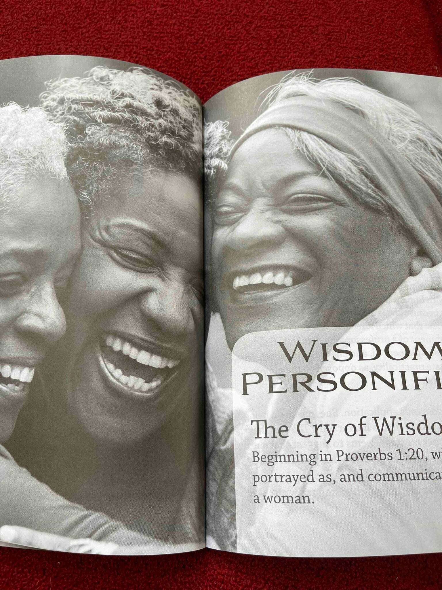 Women of the Bible for Women of Color - Hardcover - Image 8