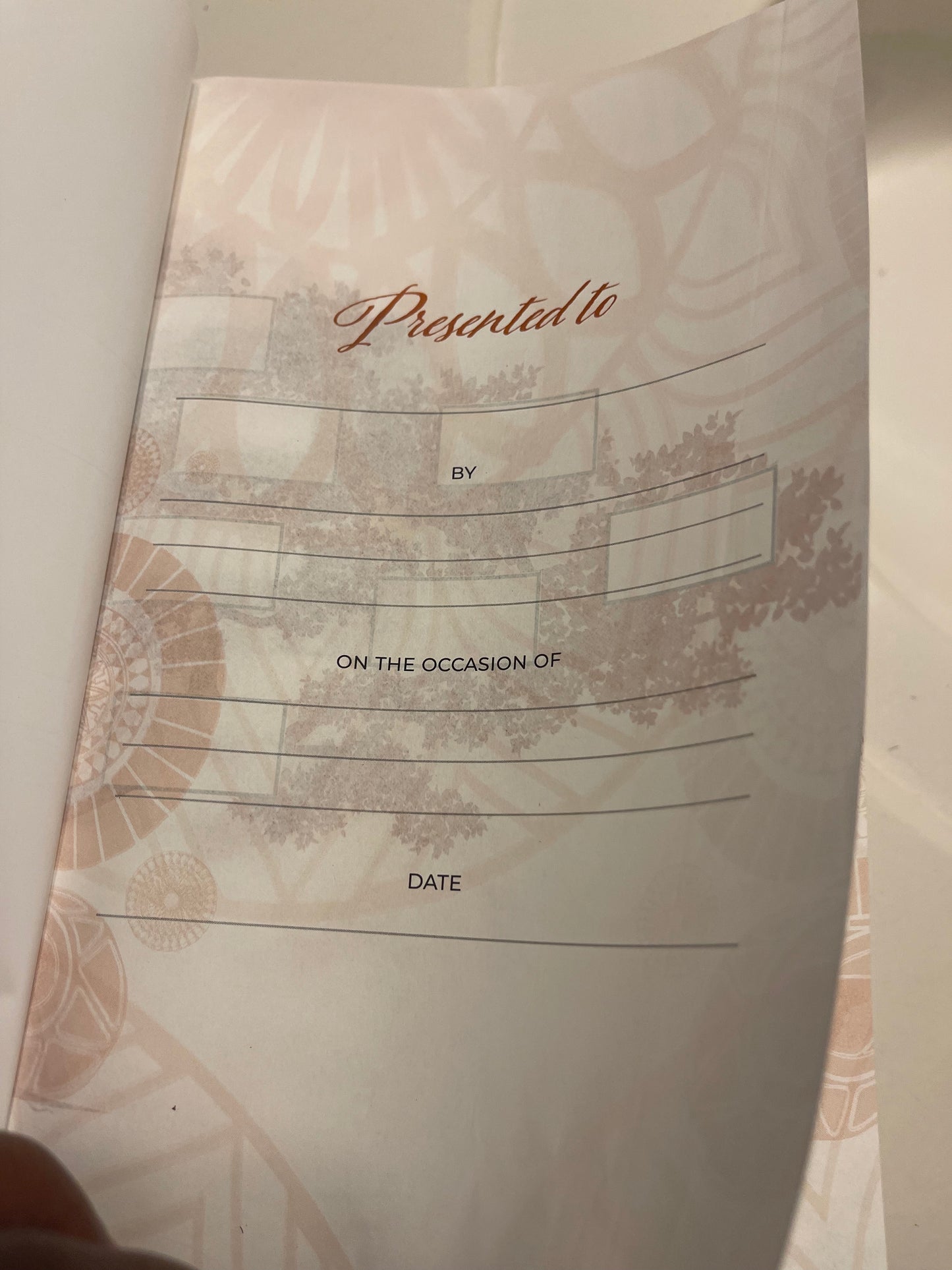 Women of Color Study Bible - Paperback Edition - Image 6