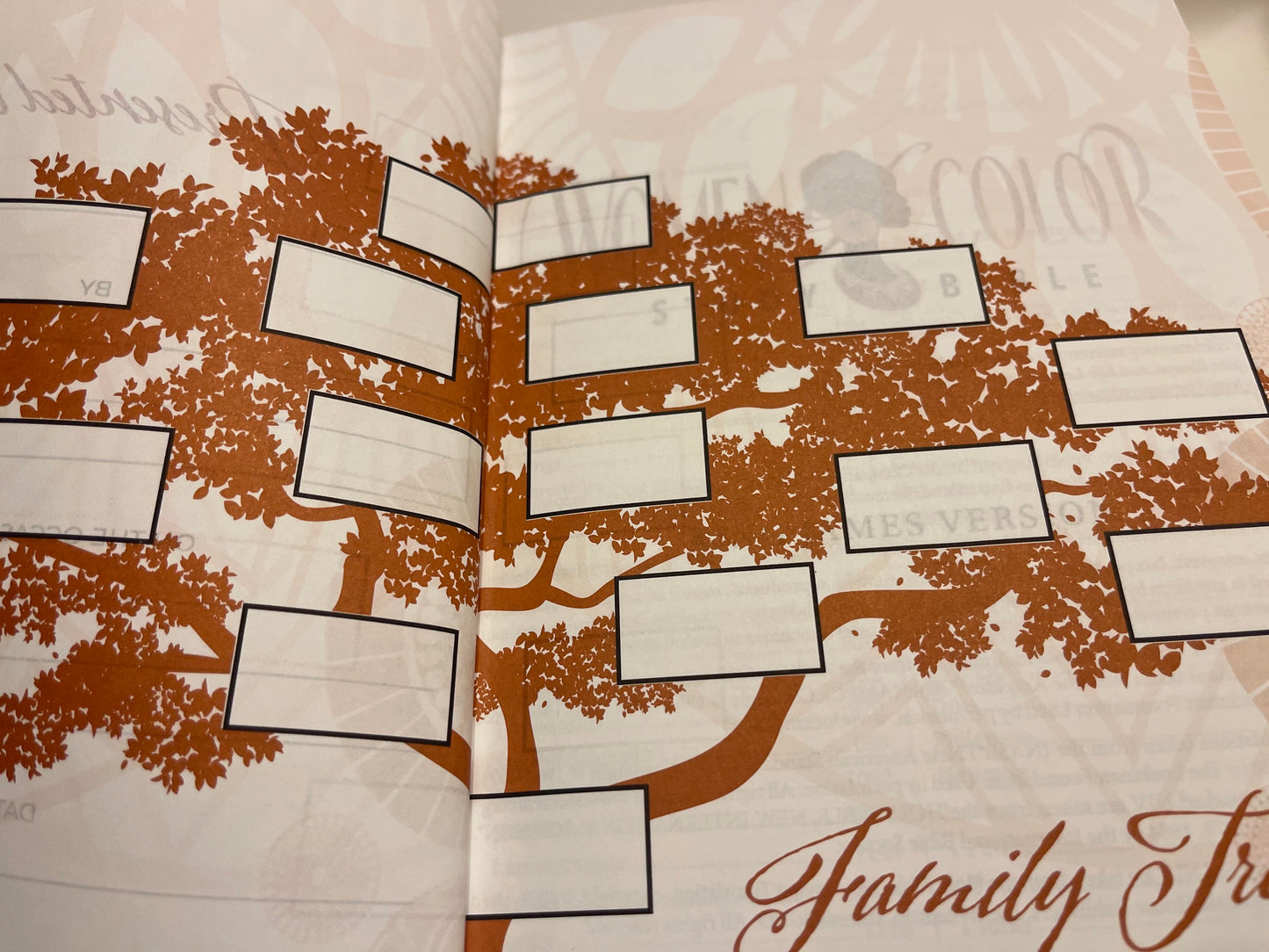 Women of Color Study Bible - Purple LuxLeather Softouch Edition - Image 4