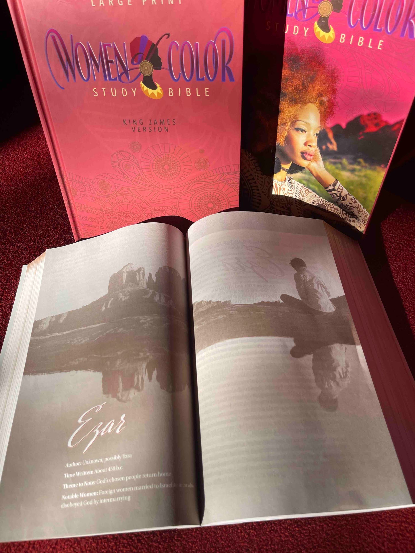 Women of Color Study Bible - Paperback Edition - Image 12