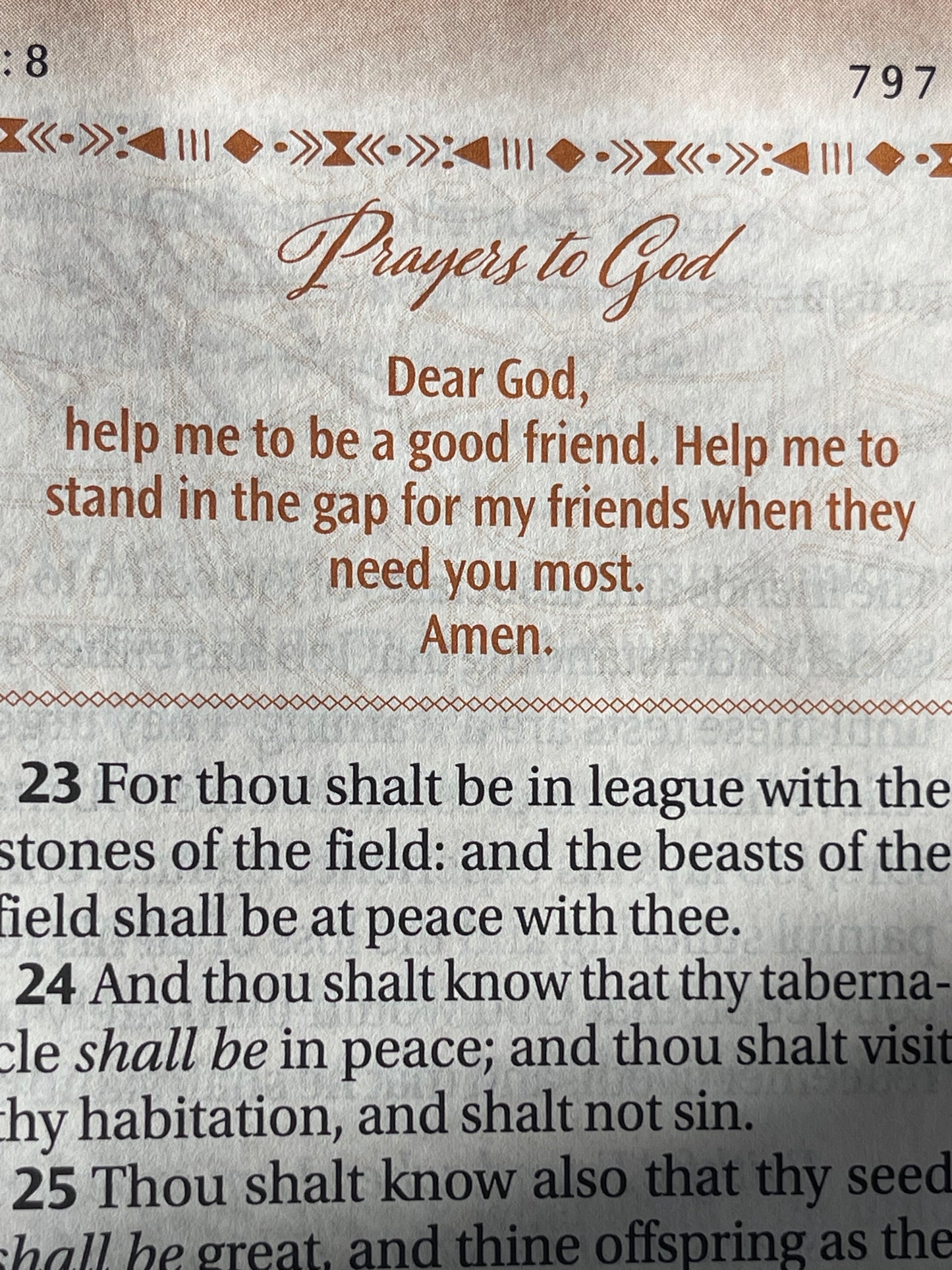 Women of Color Study Bible - Hardcover - Image 25