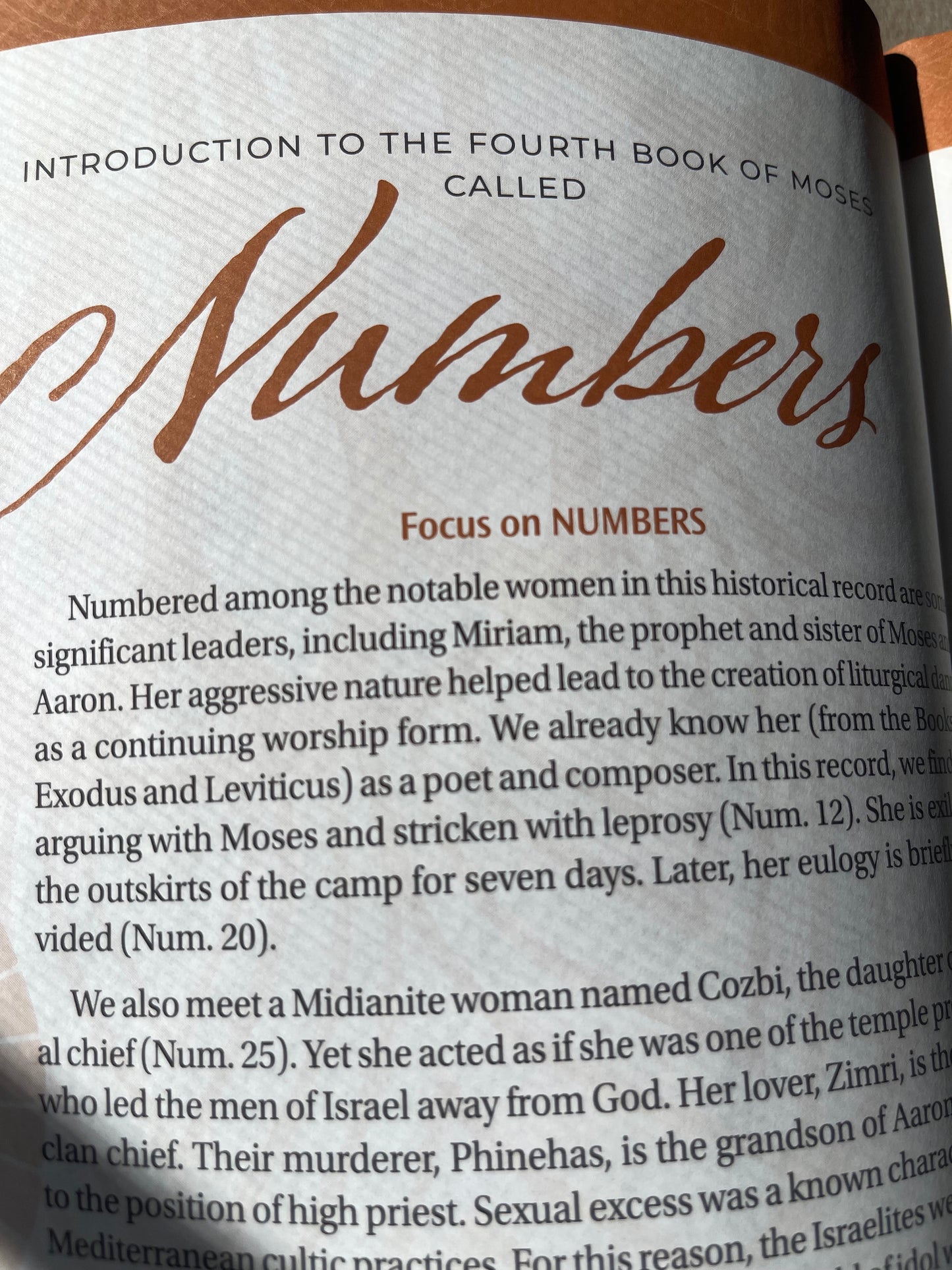 Women of Color Study Bible - Hardcover - Image 18