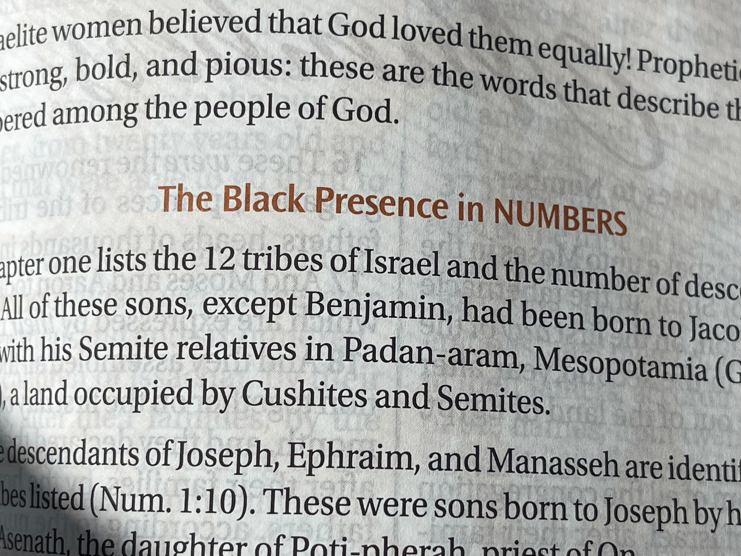 Women of Color Study Bible - Hardcover - Image 19