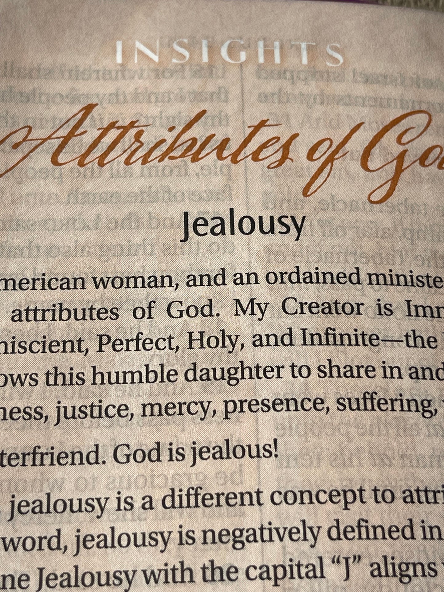 Women of Color Study Bible - Hardcover - Image 15