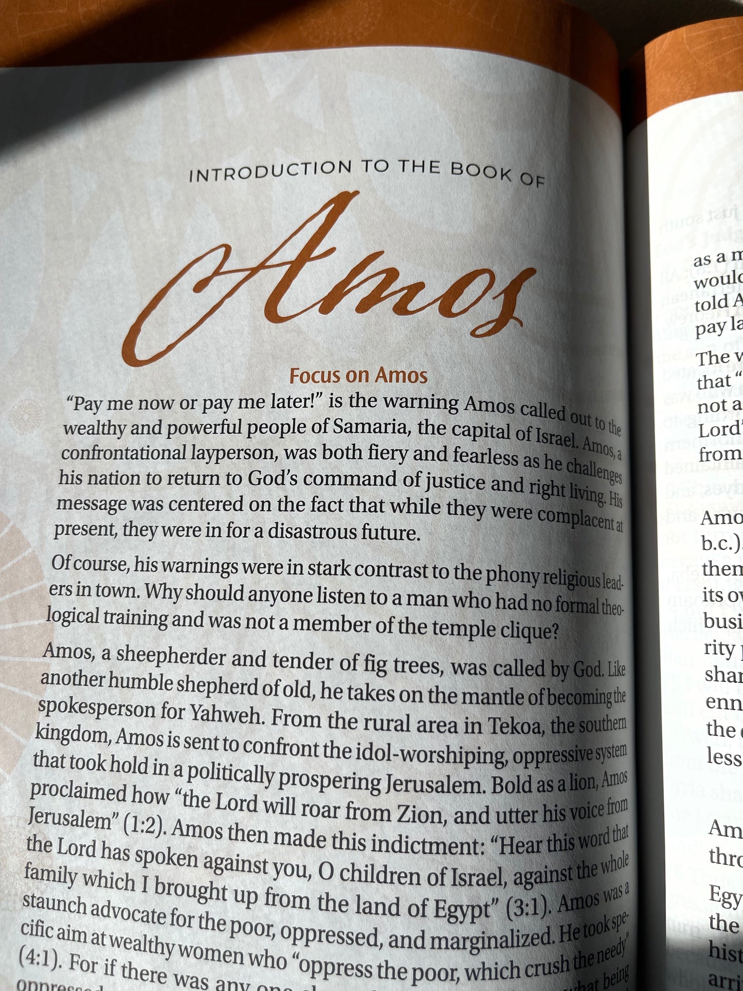 Women of Color Study Bible - Hardcover - Image 11