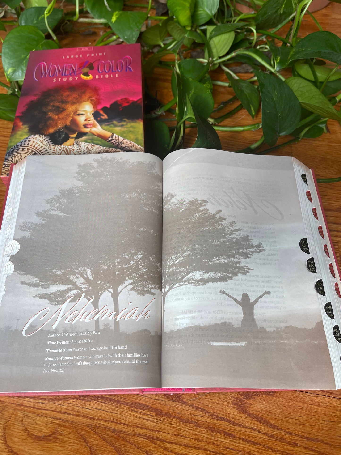 Women of Color Study Bible - Hardcover - Image 14