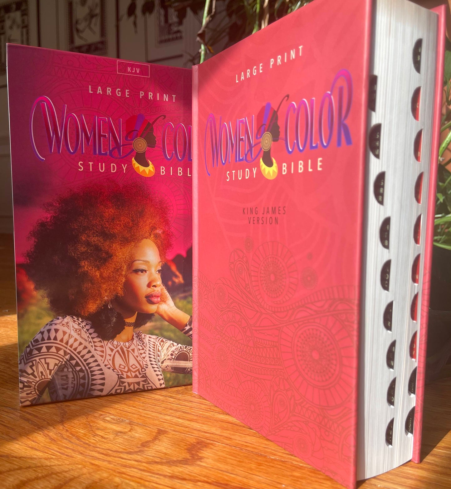 Women of Color Study Bible - Hardcover - Image 8