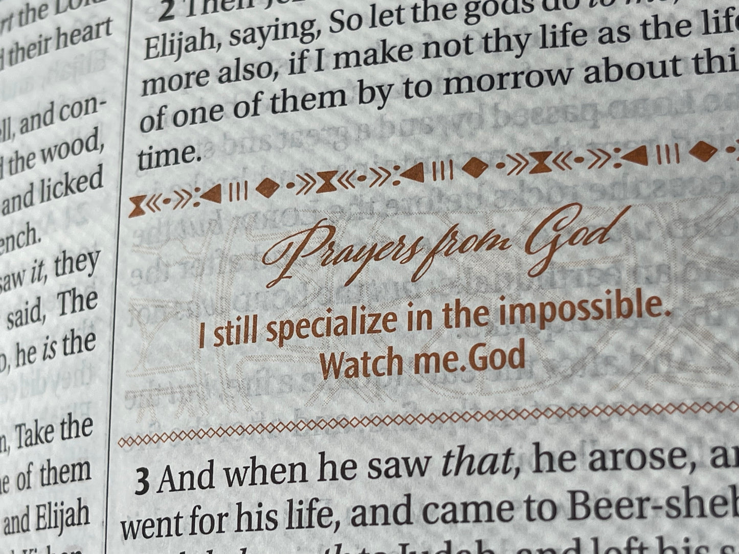 Women of Color Study Bible - Hardcover - Image 23